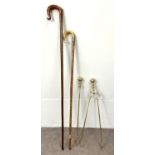 Two Scottish walking sticks, one with a carved horn handle, decorated with a thistle, the other of