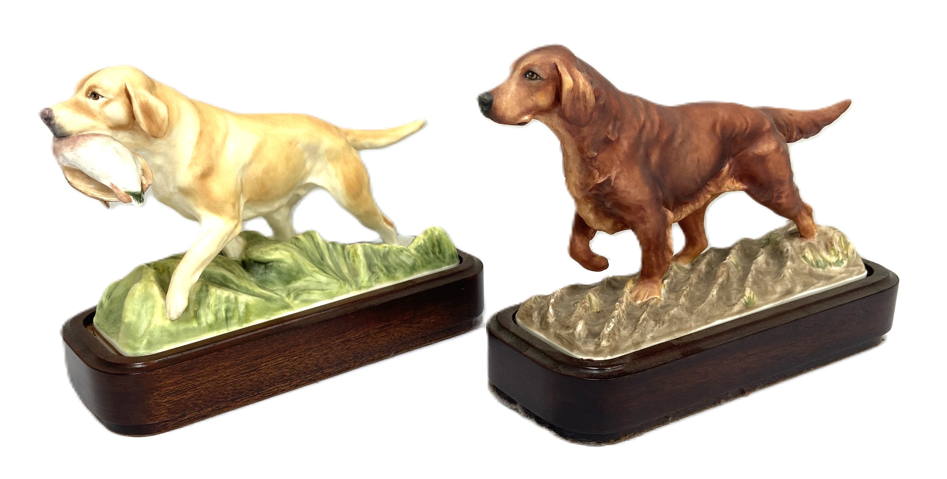 Royal Worcester, a set of six bone china Sporting Dogs, circa 1975, including a Springer Spaniel, - Image 3 of 5
