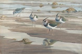 DONALD WATSON, British (1918-2005), Lapwing on the Shoreline, watercolour, signed LL: Donald Watson,