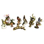 A collection of assorted figurines of birds, including a Goebel porcelain Bullfinch; a Boehm