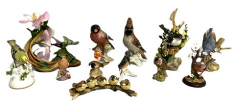 A collection of assorted figurines of birds, including a Goebel porcelain Bullfinch; a Boehm