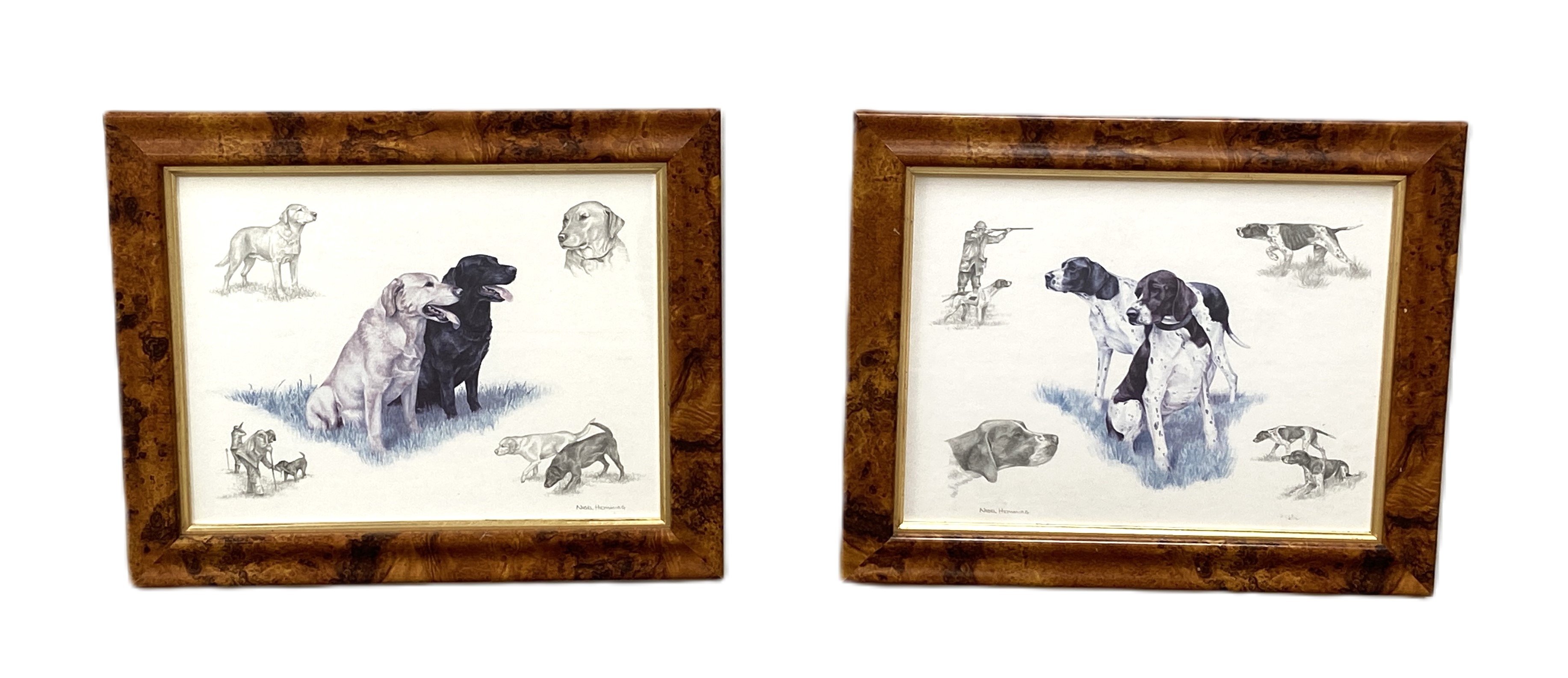 Four pictures, including JANE ROBSON, ‘Study of a Terrier, ‘Tess’. crayons, signed in pencil; also - Image 2 of 9