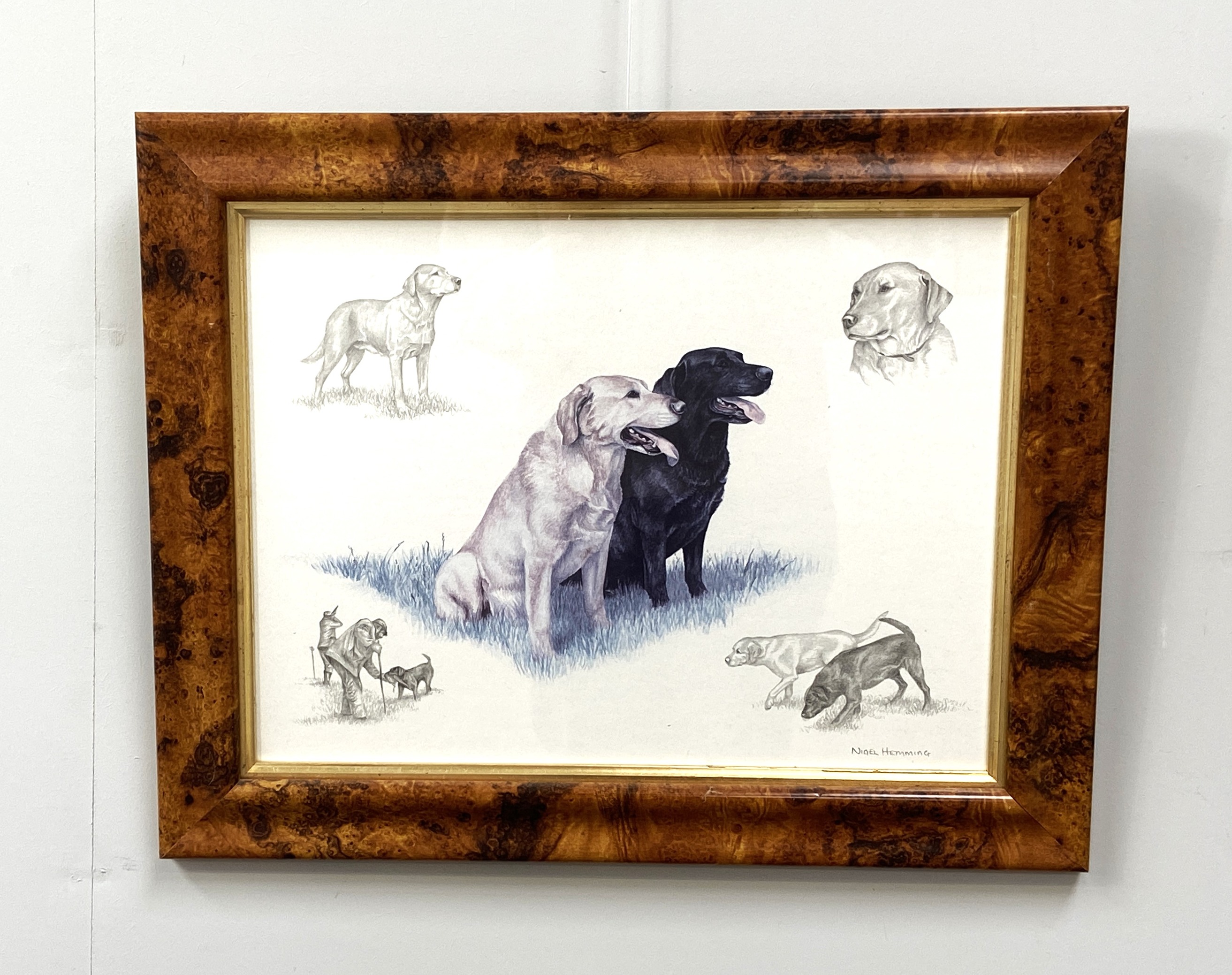 Four pictures, including JANE ROBSON, ‘Study of a Terrier, ‘Tess’. crayons, signed in pencil; also - Bild 3 aus 9