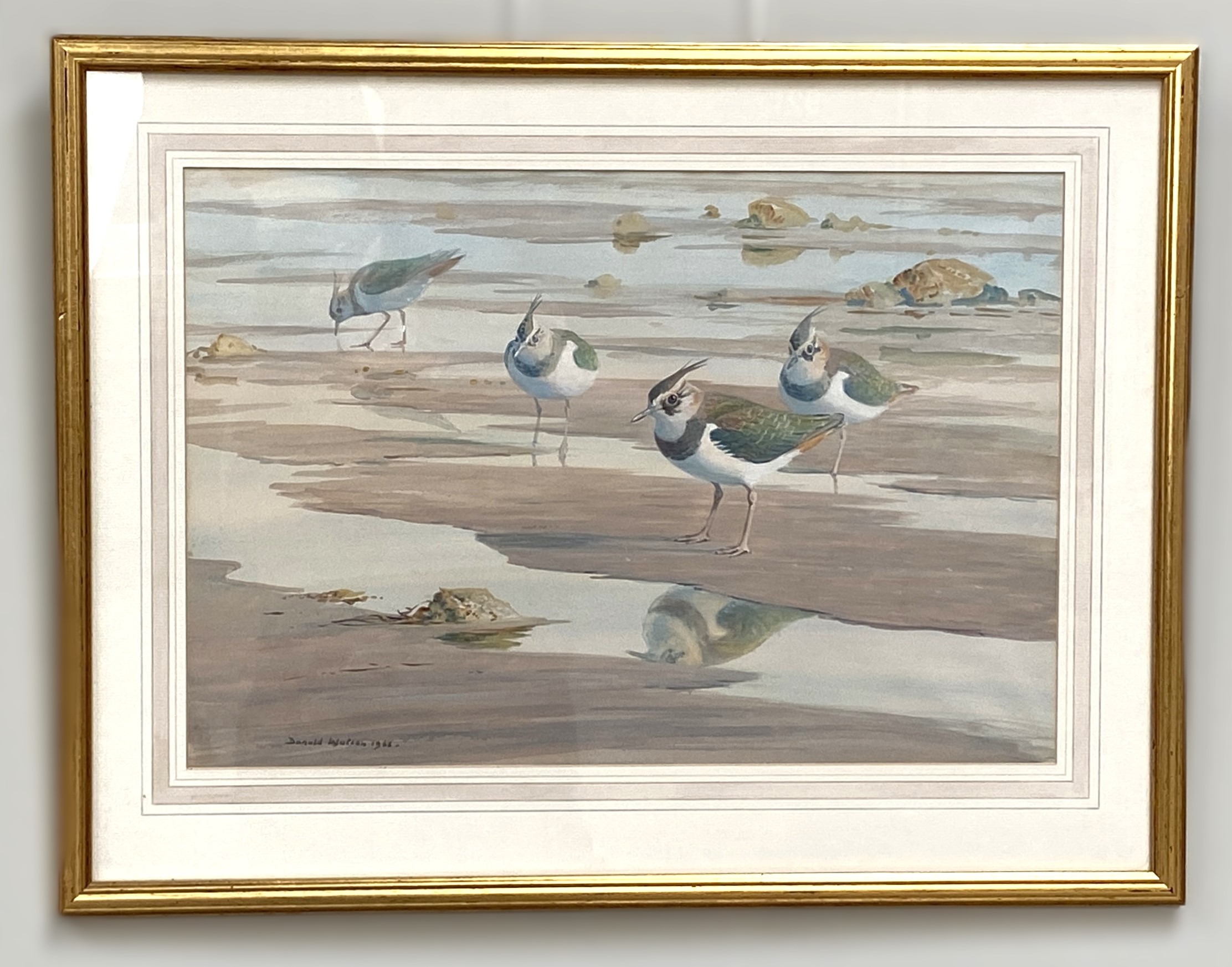 DONALD WATSON, British (1918-2005), Lapwing on the Shoreline, watercolour, signed LL: Donald Watson, - Image 2 of 4