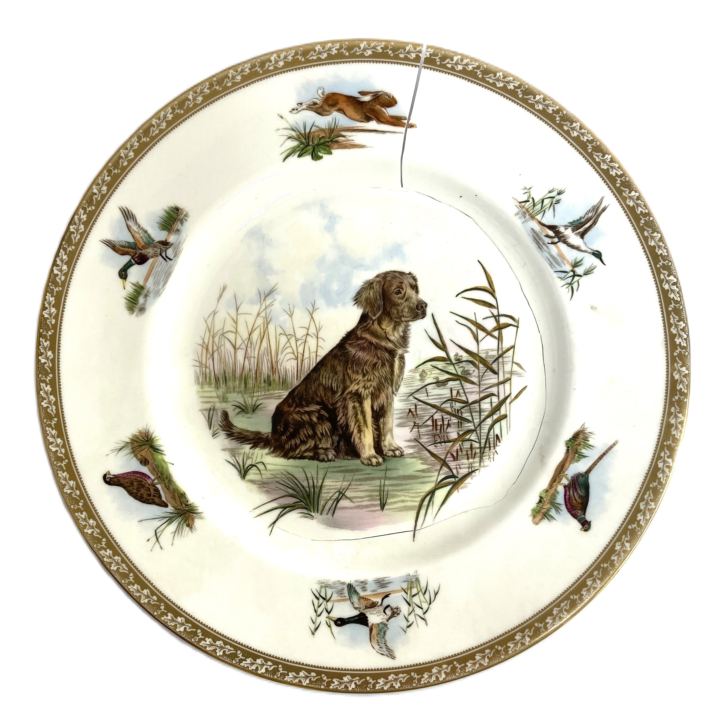 A set of six Wedgwood bone china limited edition plates of Sporting Dogs, including the English - Image 3 of 7
