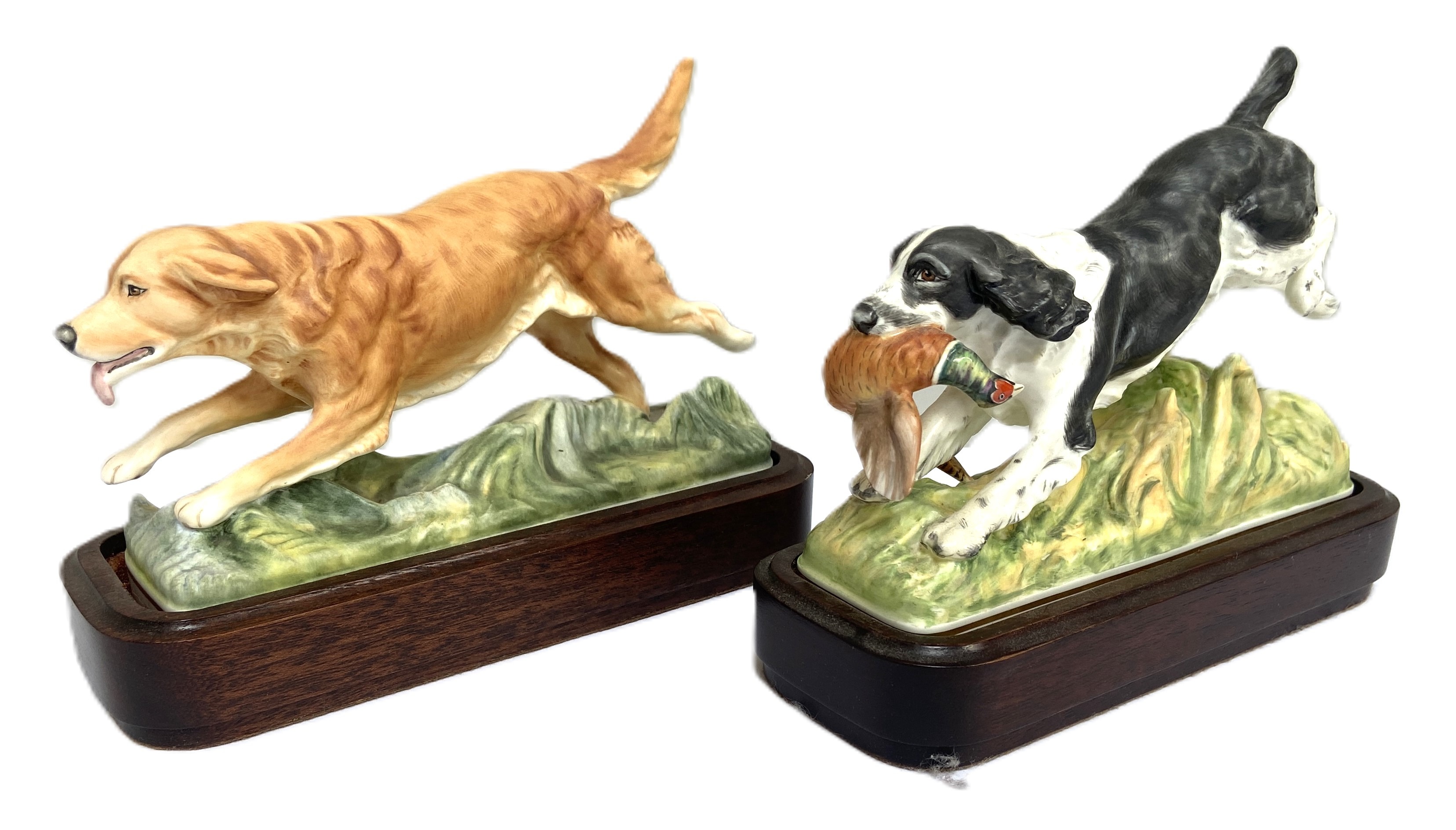 Royal Worcester, a set of six bone china Sporting Dogs, circa 1975, including a Springer Spaniel, - Image 2 of 5