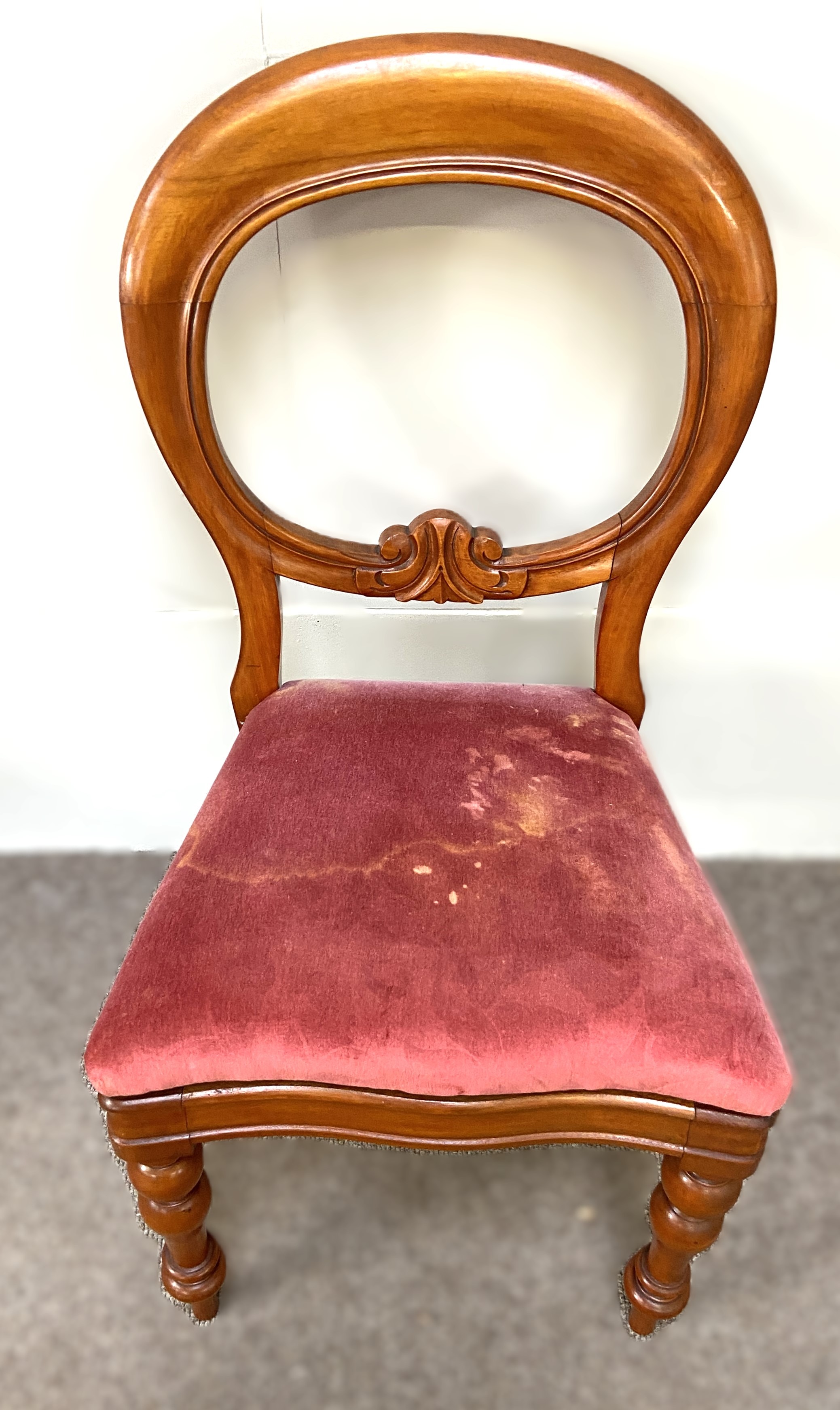 A set of Victorian style balloon backed dining chairs, each with a stuffed seat squab, currently - Image 2 of 5