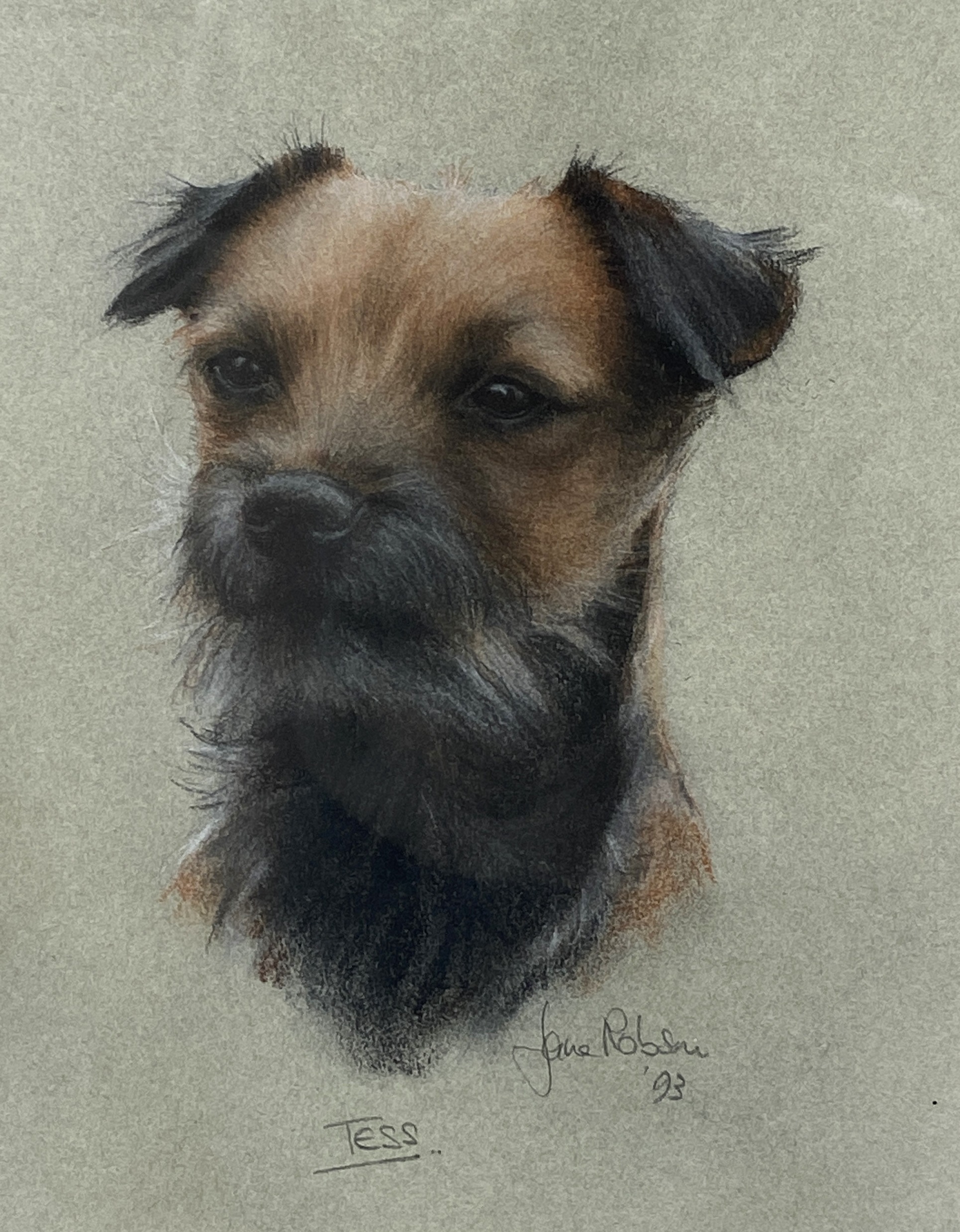 Four pictures, including JANE ROBSON, ‘Study of a Terrier, ‘Tess’. crayons, signed in pencil; also