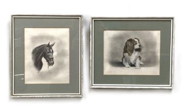 J GRIFFITH JONES, British circa 1982, four sketches of animals, including two portraits of a