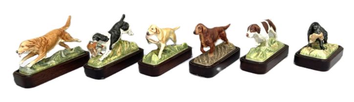 Royal Worcester, a set of six bone china Sporting Dogs, circa 1975, including a Springer Spaniel,