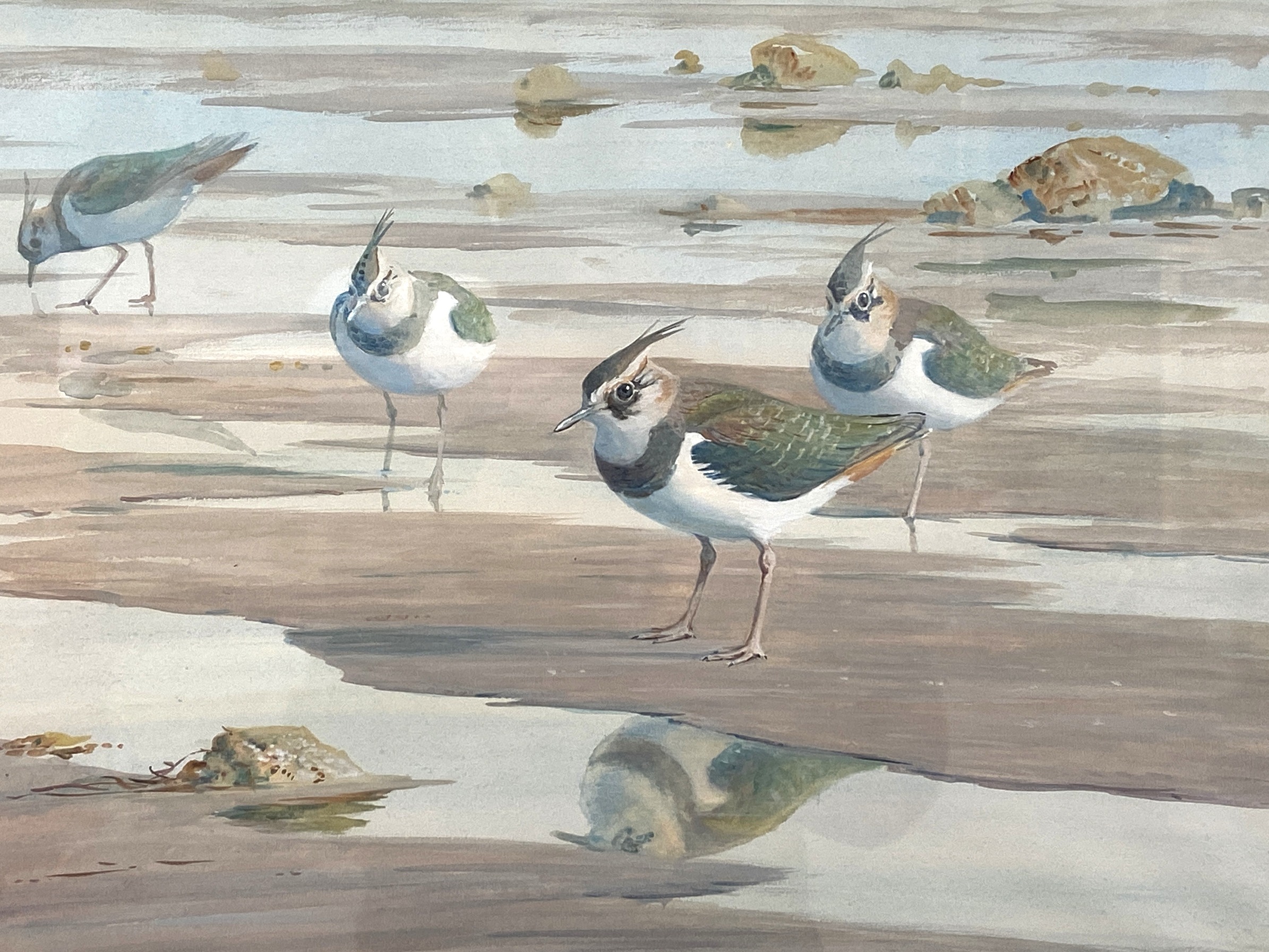 DONALD WATSON, British (1918-2005), Lapwing on the Shoreline, watercolour, signed LL: Donald Watson, - Image 3 of 4