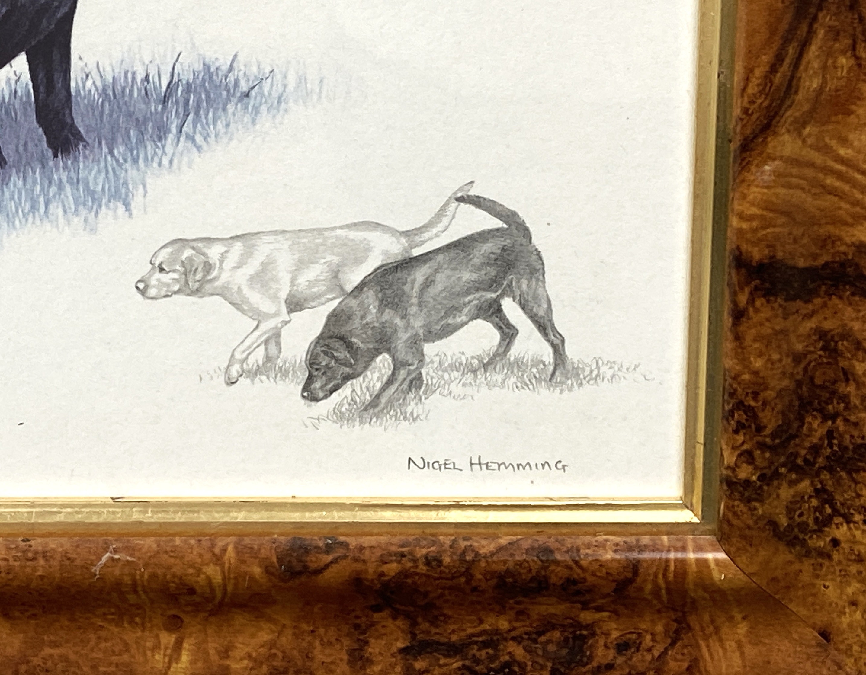 Four pictures, including JANE ROBSON, ‘Study of a Terrier, ‘Tess’. crayons, signed in pencil; also - Bild 4 aus 9