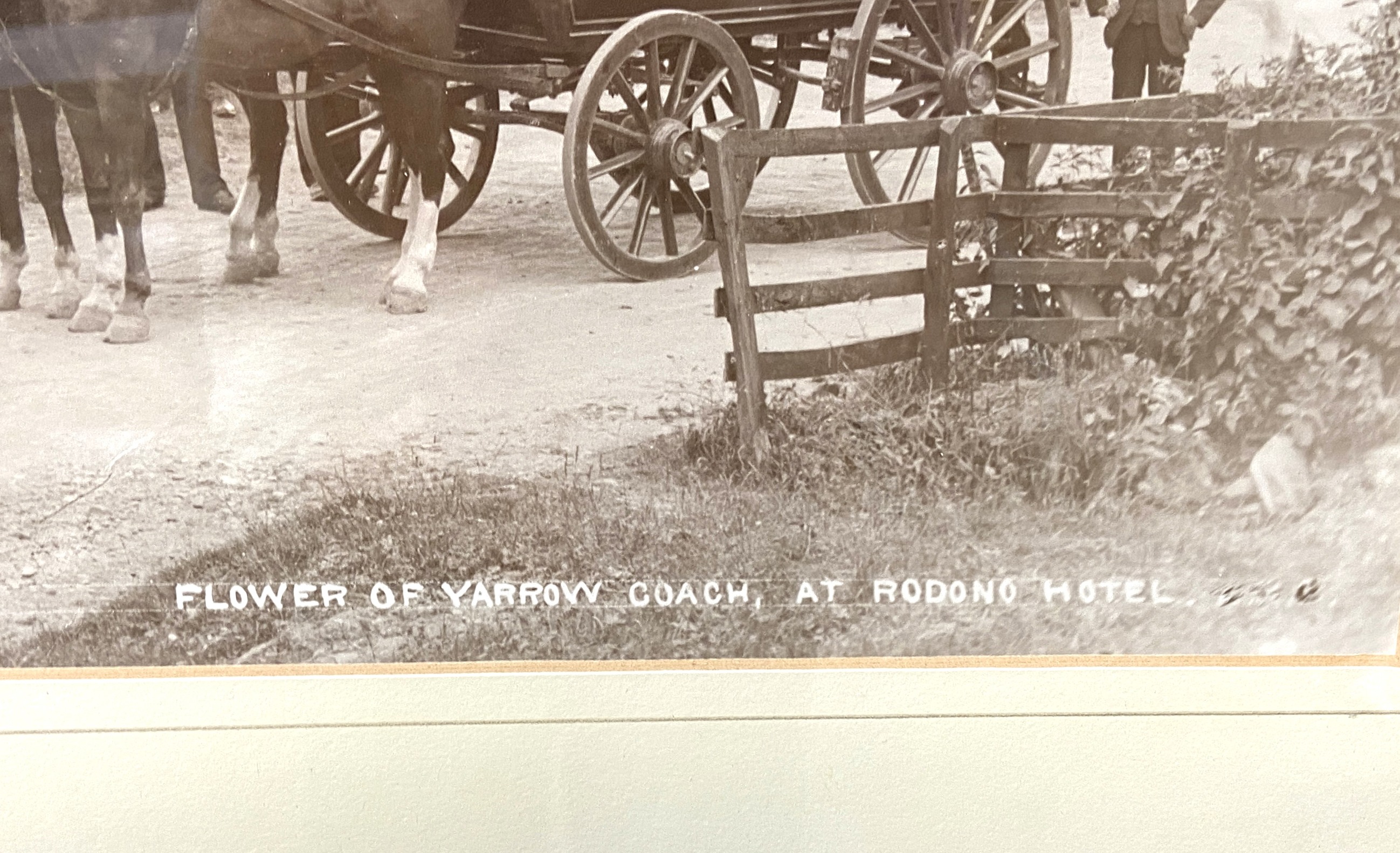 LOCAL INTEREST: A group of vintage large format photographs, including ‘Procession, After the - Image 4 of 11