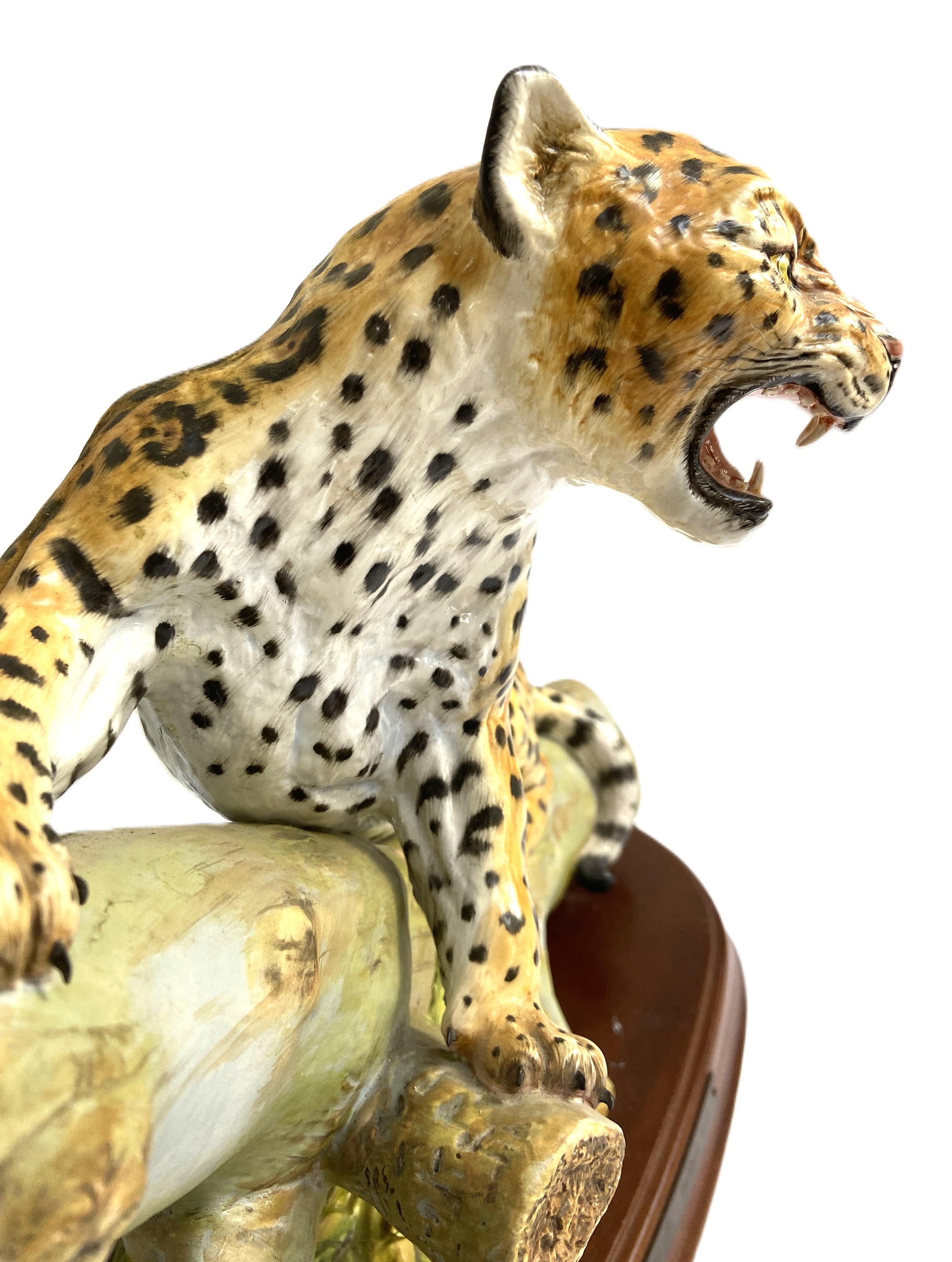 A limited edition Renaissance porcelain figure of a Jaguar, decorated in colours, naturalistically - Image 4 of 4
