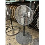 DAYTON 24" PED. FAN