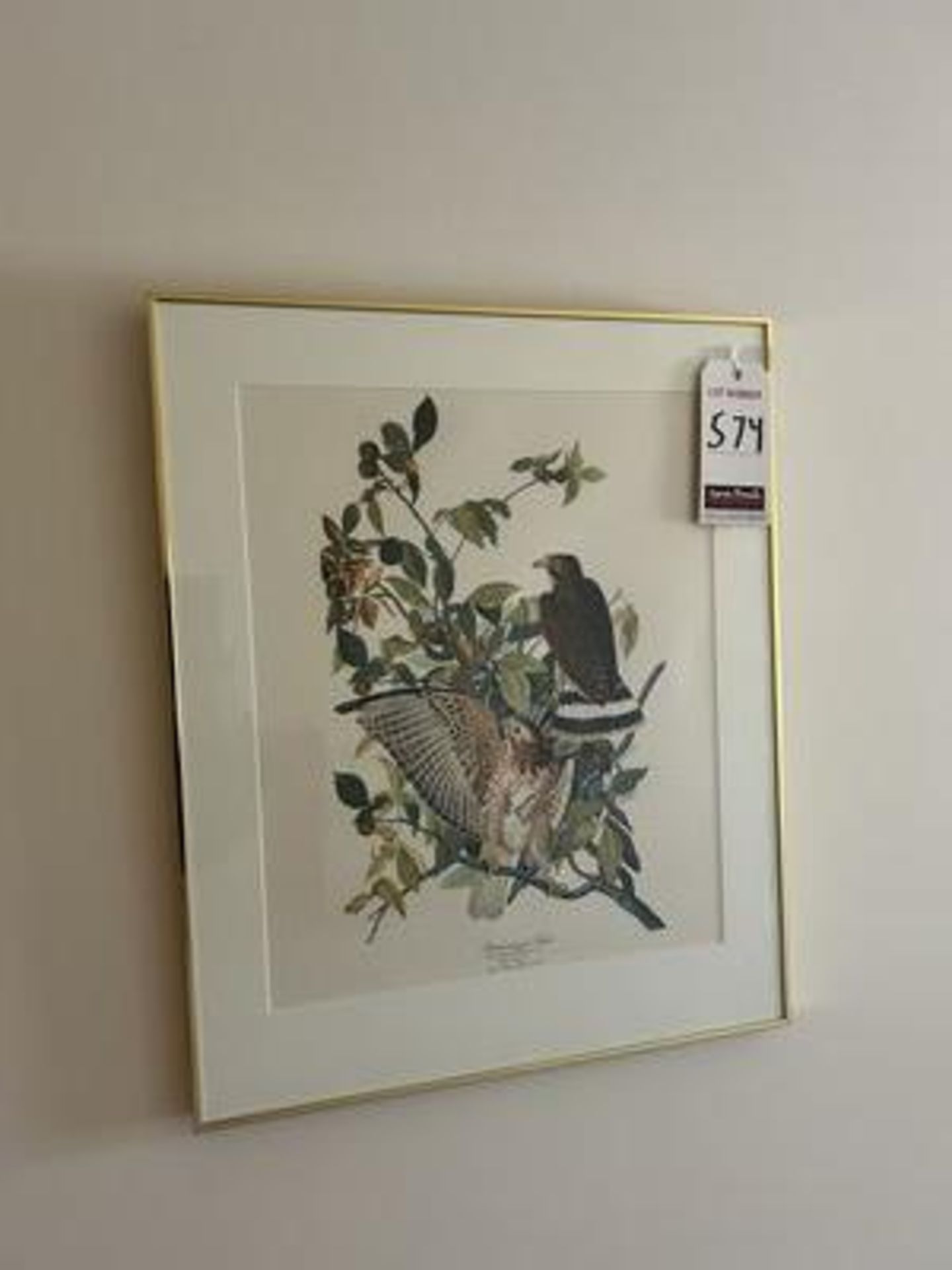 ASS'T "BIRDS" FRAMED WALL PRINTS - Image 5 of 5