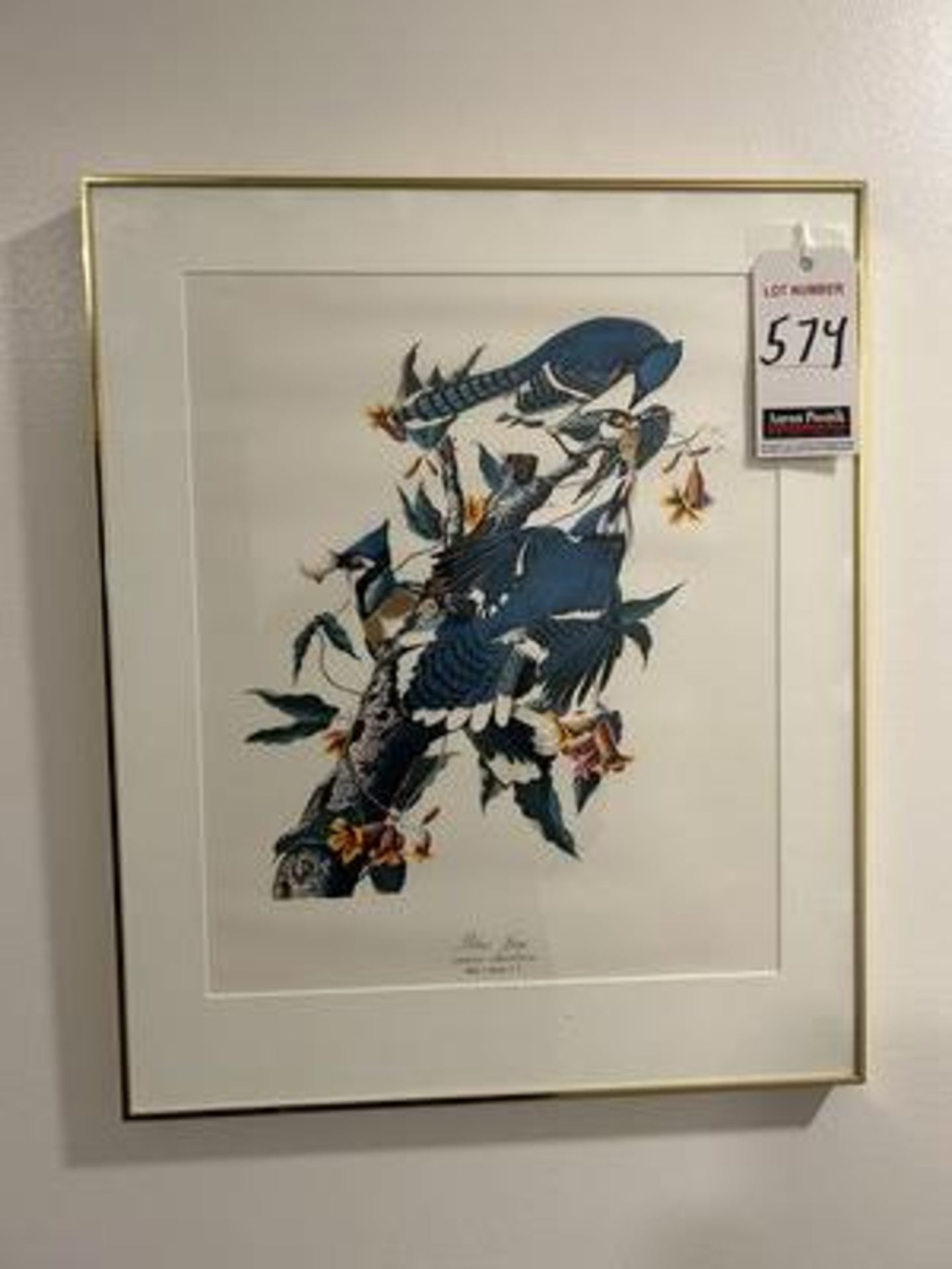 ASS'T "BIRDS" FRAMED WALL PRINTS