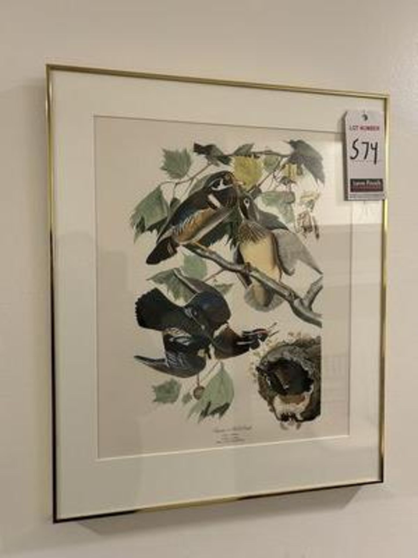 ASS'T "BIRDS" FRAMED WALL PRINTS - Image 2 of 5