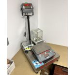 Lot Of (4) Scales. With (1) Ohaus 600 Pound platform scale, model D300BX with readout, (1) C Goldenw