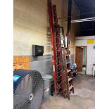 Lot (3): Ladders