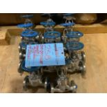 Lot (14): Unused 3000 P.S.I. Stainless Steel DN20-Valves