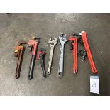 A Group of Ass't Pipe Wrenches