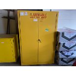 SE-CUR-ALL Flammable Liquid Safety Storage Cabinet