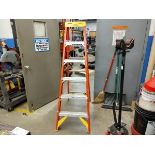 Werner 6' Fiberglass Step Ladder