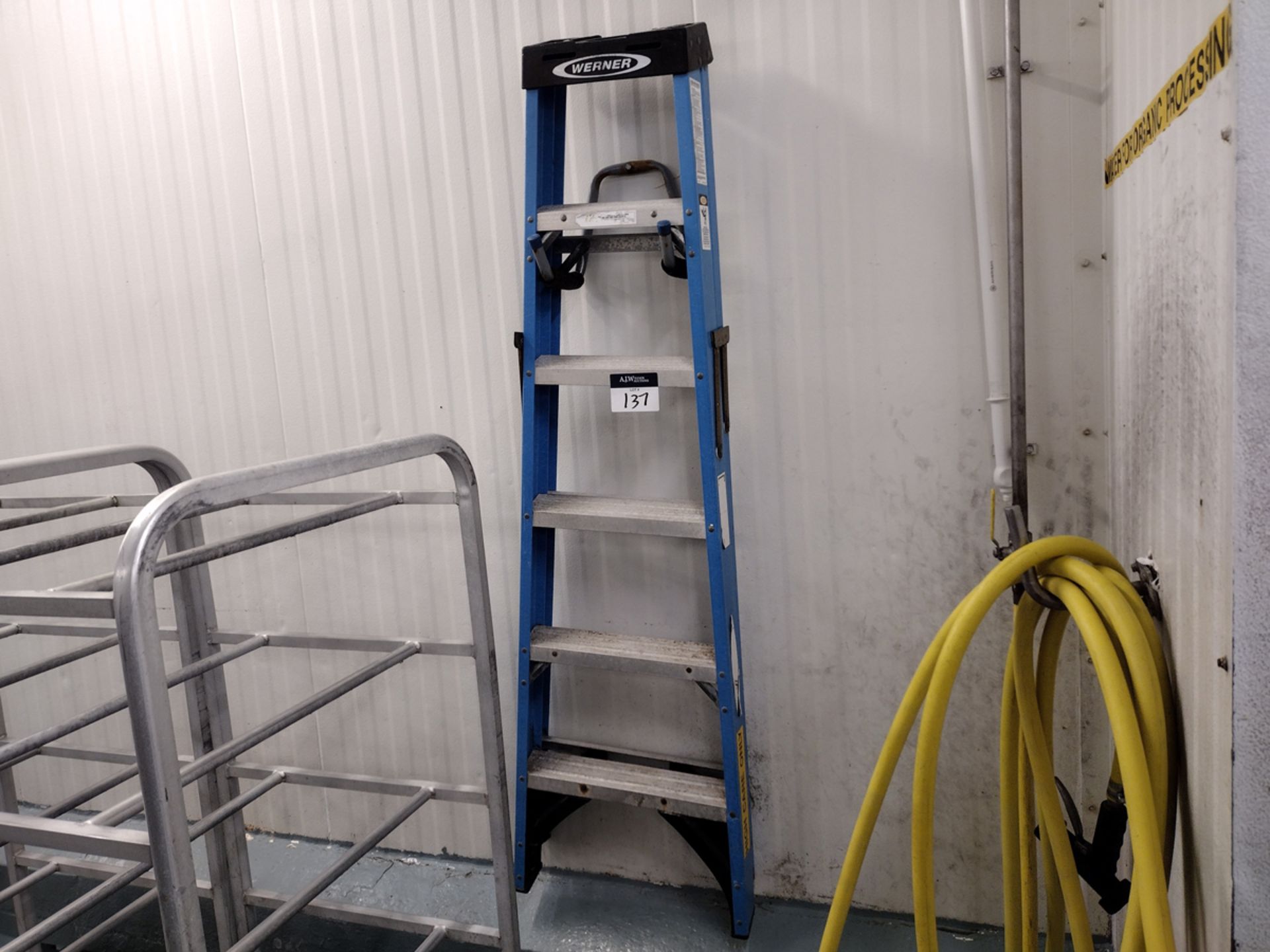 Werner 6' Fiberglass Step Ladder