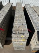 (12) 12" x 8' Durand Aluminum Concrete Forms