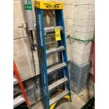 6' Fiberglass Ladder (Required Loading Fee $25.00 - Rigger: Norm Pavlish - Nebraska Stainless 402-