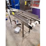 Stainless Steel Transfer Conveyor, 12" wide X 6' long plastic belt, SECO Bronco DC Speed Control (