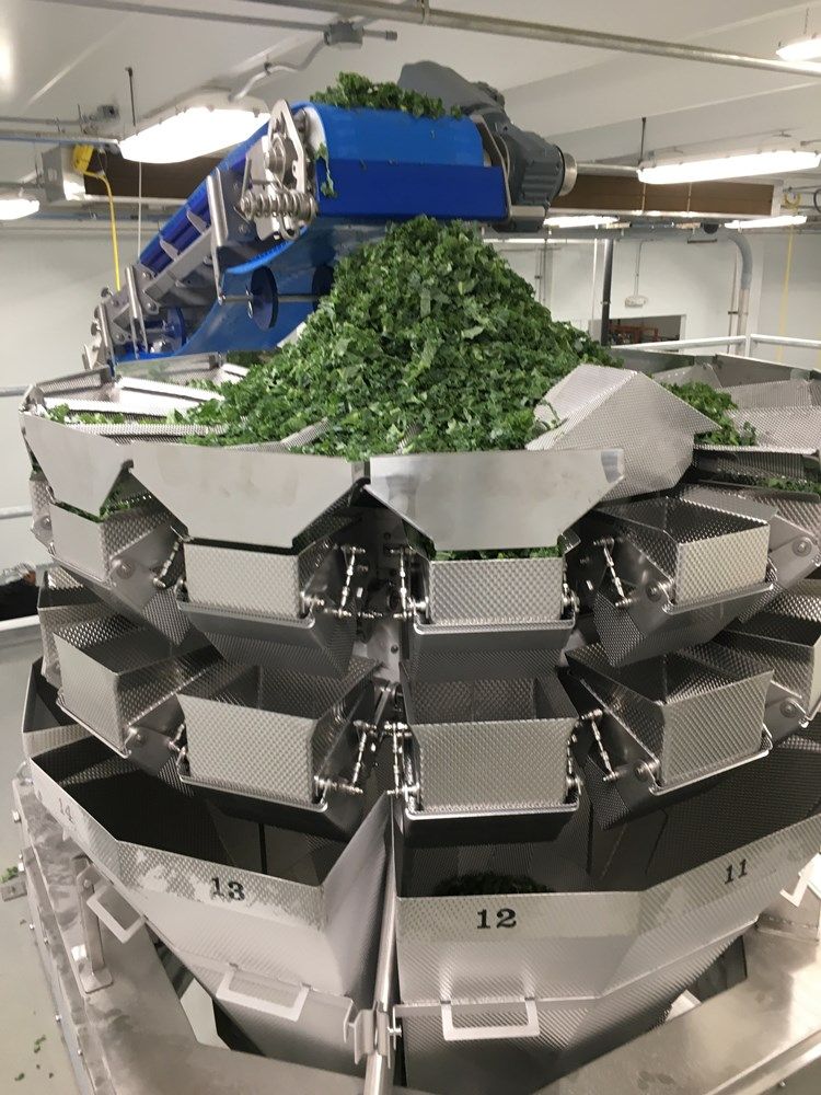 Modern Vegetable Processing and Packaging Plant- In Conjunction with HYPERAMS