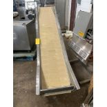 Incline Conveyor, 18" wide X 8' long, 12" infeed, 4' discharge height, electric drive (Located in