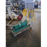 Tri Clover Mdl. SP216MD-S Stainless Steel Centrifugal Pump on 3 h.p., 230/460 volt motor,