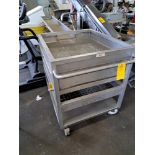 DeJong Portable Stainless Steel Product Sorting Trough, 31" wide X 36" long X 5" deep, perforated