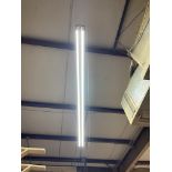 8ft LED Light Bulbs Approx. 10