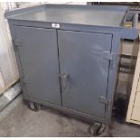 Heavy Duty Stronghold Rolling Cabinet