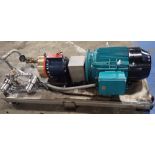 Hydra-Cell #D35XKBGHFHHH Pump w/ Brook Crompton Motor