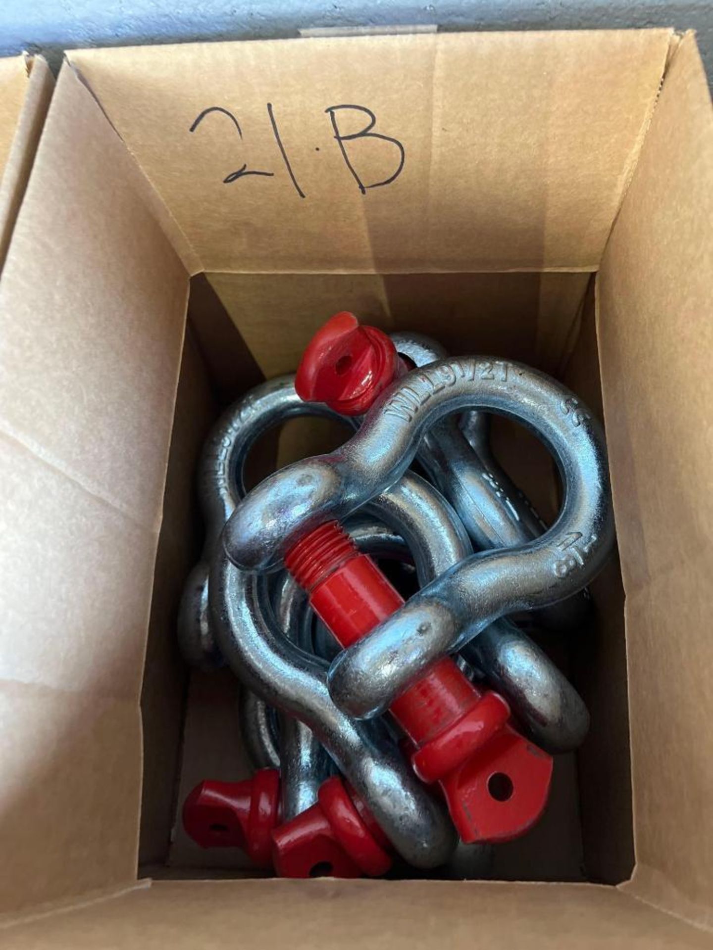 Screw Pin Anchor Shackles