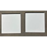 (200) Square Feet, Fondo Visione Victorian White, 6" x 6", Wall Tiles