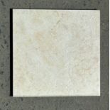 (500) Square Feet, Century Semi-Shine Porcelain , 8" x 8" (ON 3 PALLETS)