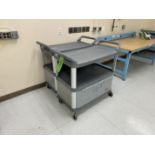(2) RUBBERMAID CARTS (ZONE 3)