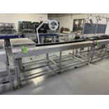 ASYS AUTOMATED HANDLING CONVEYOR TYPE: SGM-01 SERIAL # 042110