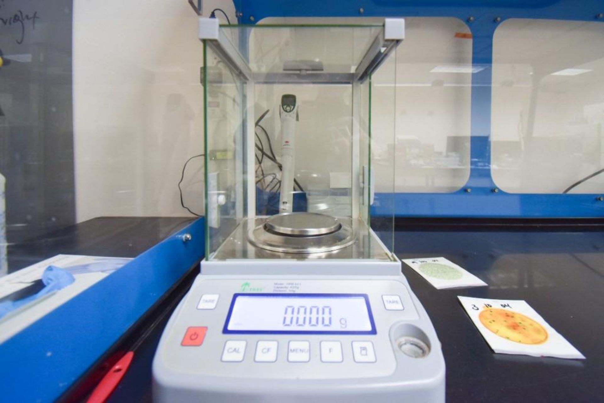 Tree Lab Balance Scale