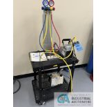 (LOT) AGILENT MODEL DS202 2-STAGE VANE PUMP AND GAST MODEL DOA-P708-AA HIGH CAPACITY VACUUM PUMP (