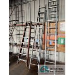 20' LOUISVILLE ALUMINUM EXTENSION LADDER