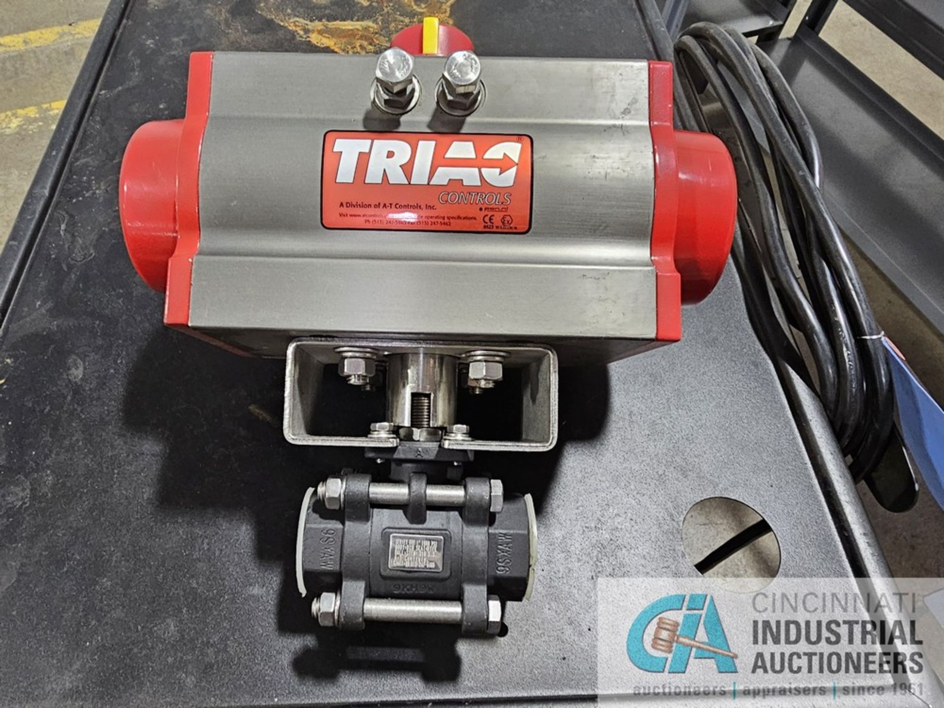 TRIAC CONTROLS MODEL 55CTX1002R3XDS DOUBLE ACTING ACTUATOR - Bild 2 aus 5