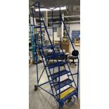 6 Step Rolling Ladder