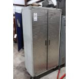 2 Door rolling cabinet